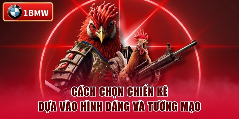 Cách chọn chiến kê dựa vào hình dáng và tướng mạo