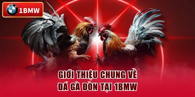 Giới thiệu chung về đá gà đòn tại 1BMW