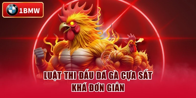Luật thi đấu đá gà cựa sắt khá đơn giản