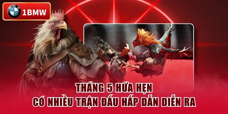 Tháng 5 hứa hẹn có nhiều trận đấu hấp dẫn diễn ra