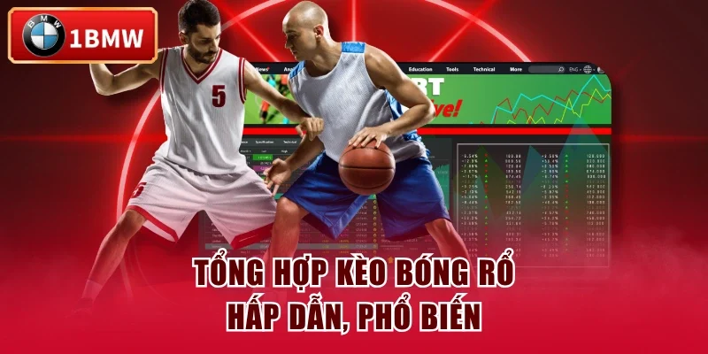 Tổng hợp kèo bóng rổ hấp dẫn, phổ biến